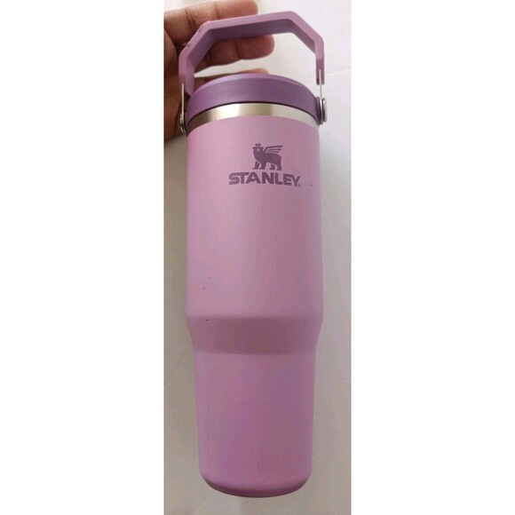 Stanley IceFlow Stainless Steel Tumbler with Straw 30 oz Purple Hot/Cold New - Picture 1 of 7